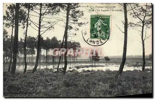 Cartes postales Pins La Lagune