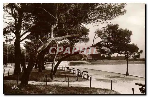 Cartes postales La Rochelle La Plage a Travers les Pins