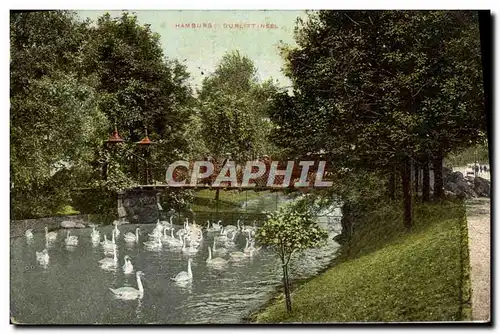 Cartes postales Hamburg Gurlittinsel Cygnes