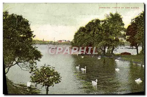 Ansichtskarte AK Hamburg Partie an der Alster Cygnes