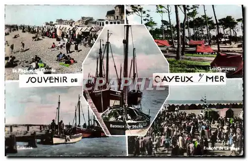 Cartes postales moderne Souvenir De Cayeux Sur Mer La plage et les cabines Les campeurs Camping Entree de la plage Estac