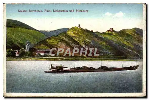 Ansichtskarte AK Kloster Bornhofen Ruine Liebenstein Und Sternberg