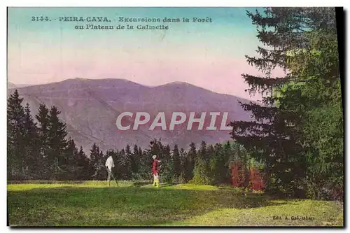 Cartes postales Peira Cava Excursions Dans La Foret au plateau de la Calmette