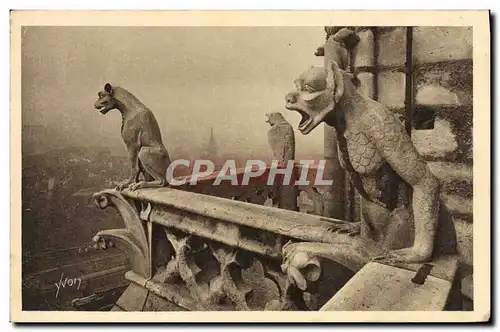 Ansichtskarte AK Paris Notre Dame De Detail de la facade Sud