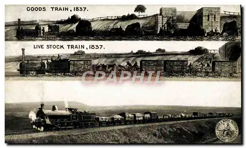 Ansichtskarte AK Train Goods Train 1837 Live stock Shap Summit 1904