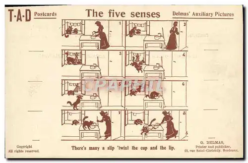 Ansichtskarte AK Illustrateur The five senses Chat TAD