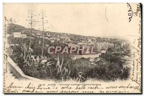 Cartes postales Alger Mustapha Superieur a Travers les Aloes
