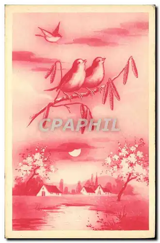 Cartes postales Fantaisie Oiseau