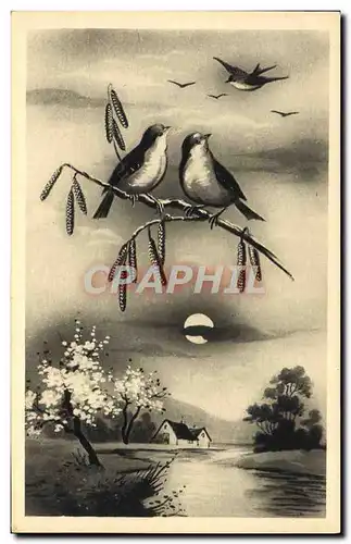 Cartes postales Fantaisie Oiseaux