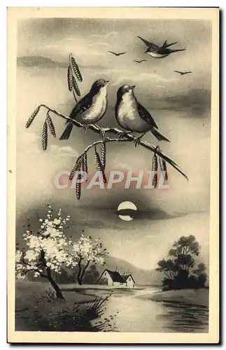 Cartes postales Fantaisie Oiseaux