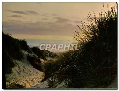 Moderne Karte Coucher de soleil sur les dunes de Merlimont