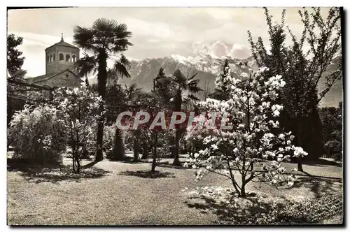 Cartes postales moderne Locarno Muralto