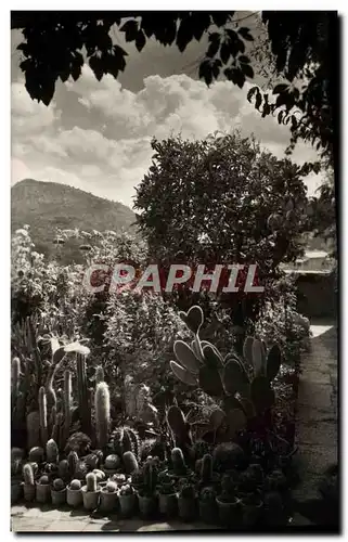 Cartes postales moderne Mallorca Valimenosa Vista parcial del jardinaito de la Celda Museo Chopin y George Sand