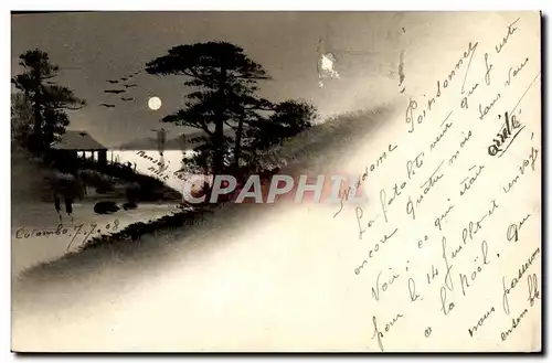 Ansichtskarte AK Japon Nippon Arbre paysage