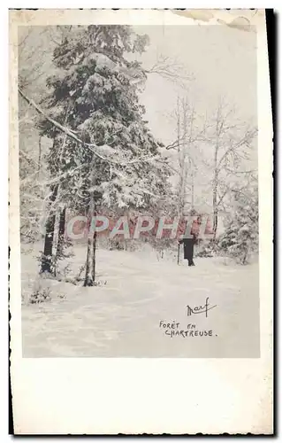 Cartes postales Foret En Chartreuse