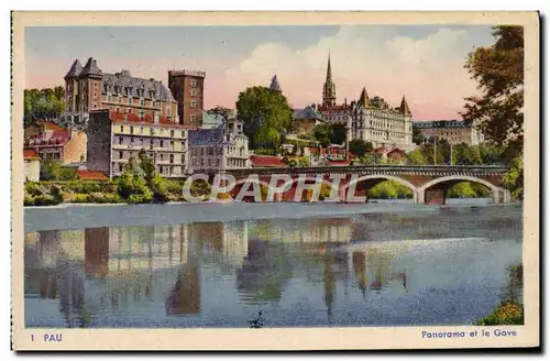 Cartes postales Pau Panorama Et Le Gave