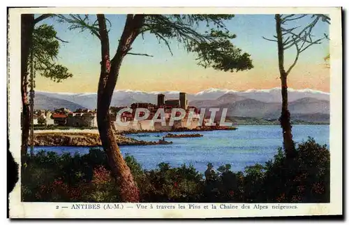 Ansichtskarte AK Antibes Vue A Travers Les Pins Et La Chaine Des Alpes Neigeuses