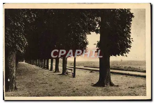 Cartes postales La Douce France Saint Germain En Laye Les Quinconces de la terrasse