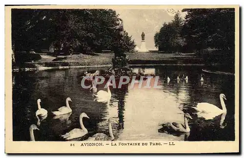 Cartes postales Avignon La Fontaine Du Parc Cygnes