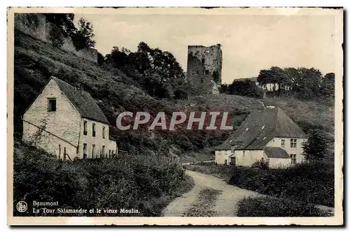 Moderne Karte Beaumont La tour Salamandre et le vieux moulin