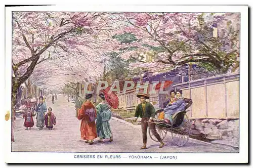 Cartes postales Japon Nippon Yokohama Cerisiers en fleurs