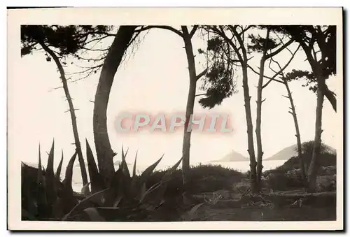 Cartes postales Les Iles Sanguinaires