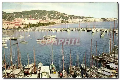 Moderne Karte Cannes Un coin du port Dans le fond la promenade de la Croisette