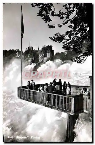 Cartes postales moderne Rheinfall Fisches