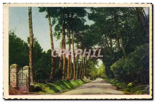 Ansichtskarte AK Noirmoutier Une Allee du Bois