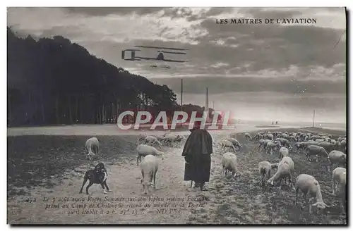 Cartes postales Avion Aviation Roger Sommer sur son biplan Farman Moutons Camp de Chalons