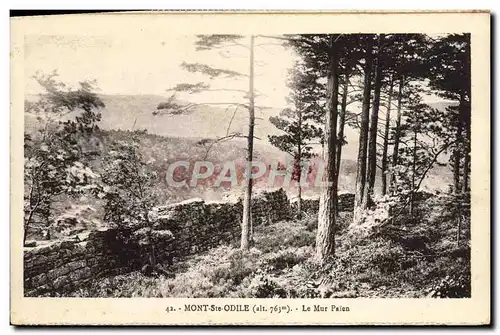 Cartes postales Mont Ste Odile Le mur paien