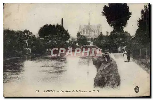 Cartes postales Amiens Les Rives De La Somme