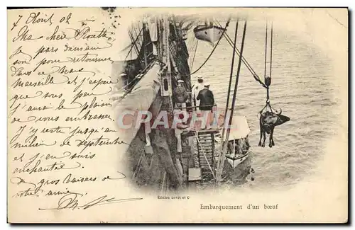 Cartes postales Bateau Embarquement d&#39un boeuf