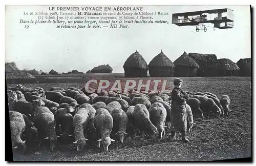 Ansichtskarte AK Avion Aviation Premier voyage en aeroplane Farman se rend du camp de Chalons a Reims Moutons