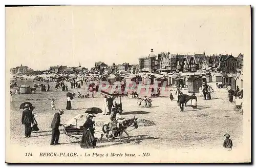 Cartes postales Berck Plage La Plage a Maree Basse Ane Mule