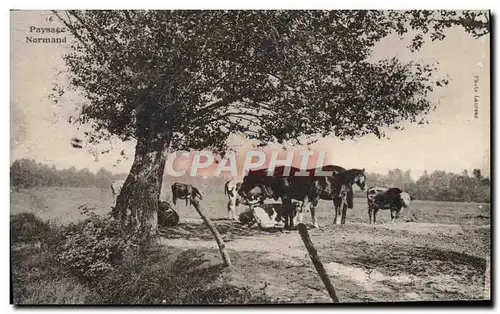 Cartes postales Paysage Normand Vache Cheval