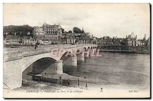 Cartes postales Amboise Panorama Du Pont Et Du Chateau