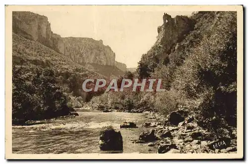 Ansichtskarte AK Les Gorges Du Tarn Les Vignes