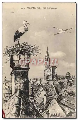 Cartes postales Strasbourg Nid de Cigognes