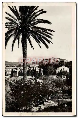 Cartes postales moderne Collioure Vue Vers le Port
