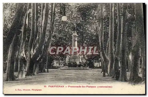 Ansichtskarte AK Perpignan Promenade des Platanes