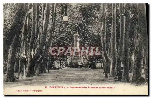 Cartes postales Perpignan Promenade des Platanes