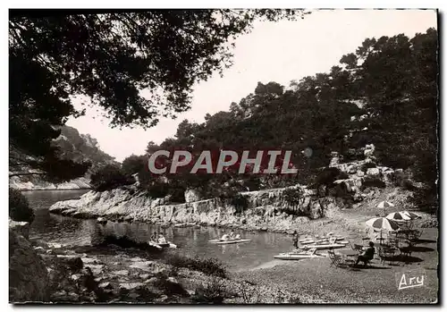 Cartes postales moderne Cassis Calanque de Port Pin L&#39etablissement