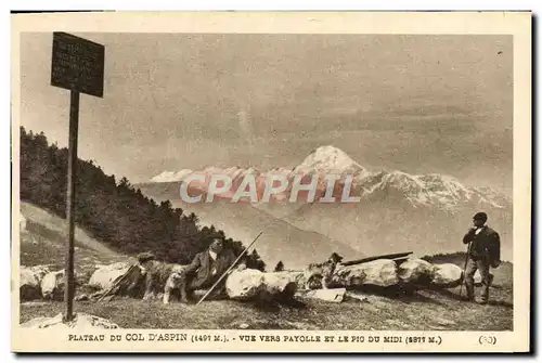 Ansichtskarte AK Plateau Du Col D&#39Aspin Vue Vers Payolle Et Le Pic du Midi