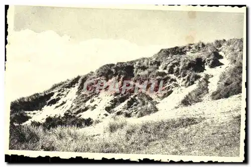 Ansichtskarte AK Bredene sur Mer la dune sauvage