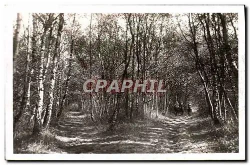 Cartes postales moderne Le Touquet Paris Plage Foret