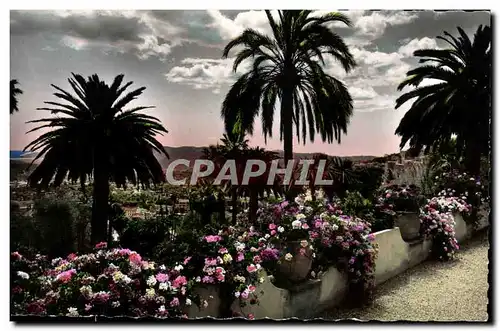 Moderne Karte Grasse Sa Vegetation Exotique Au Fond La Mediterranee