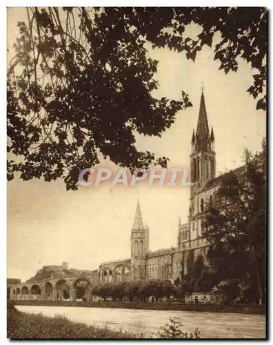 Cartes postales Lourdes La basilique et la grotte vues du GAve