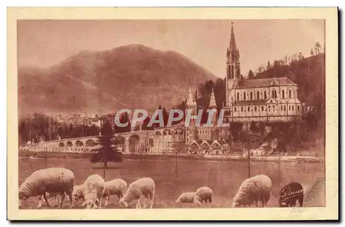 Cartes postales Lourdes La Basilique Et Le Pic du Jer