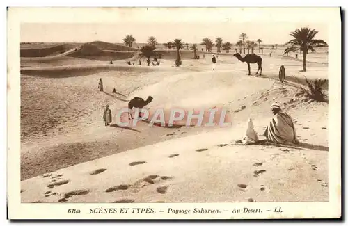 Cartes postales Paysage saharien Au dersert Chameau